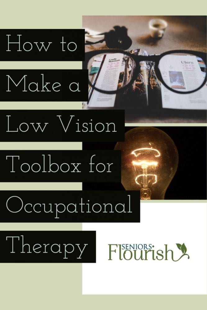Living With Low Vision : Living with Low Vision: Strategies Supporting ...
