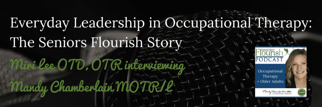 Occupational Therapy Entrepreneurship: How can we as #OT practitioners be leaders. | Seniorsflourish.com #occupationaltherapy #OT #HomehealthOT #OTmentorship #SNFOT