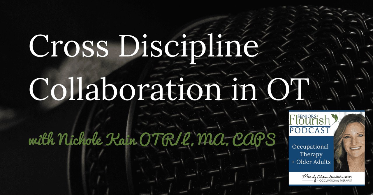 Cross Discipline Collaboration in Occupational Therapy - Seniors Flourish