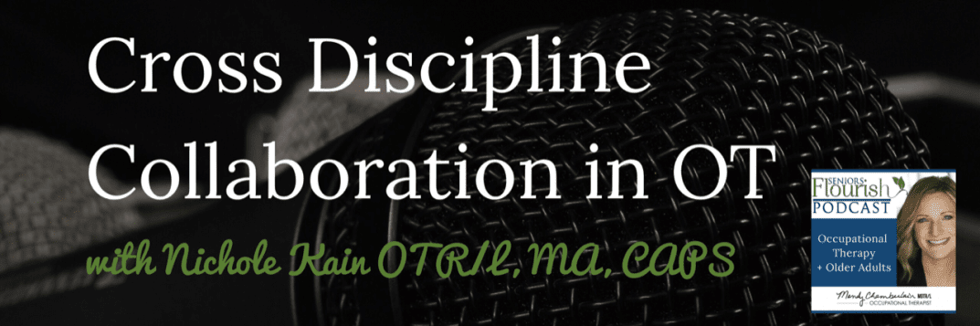 Cross Discipline Collaboration in #OT | SeniorsFlourish.com #occupationaltherapy #SNFOT #homehealthOT