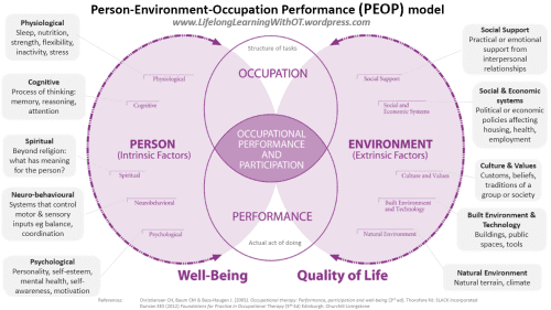 peop model occupational therapy case study
